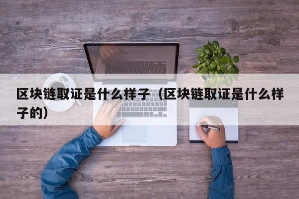 区块链取证是什么样子(区块链取证是什么样子的)